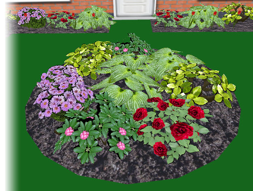 Garden Flowers | 3D Flowers | Unity Asset Store