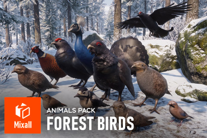 Forest birds - animals pack