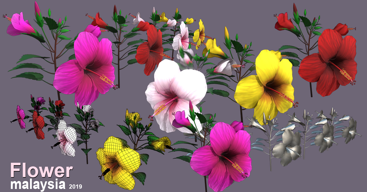 Flowers For Unity at Shelley Siegel blog