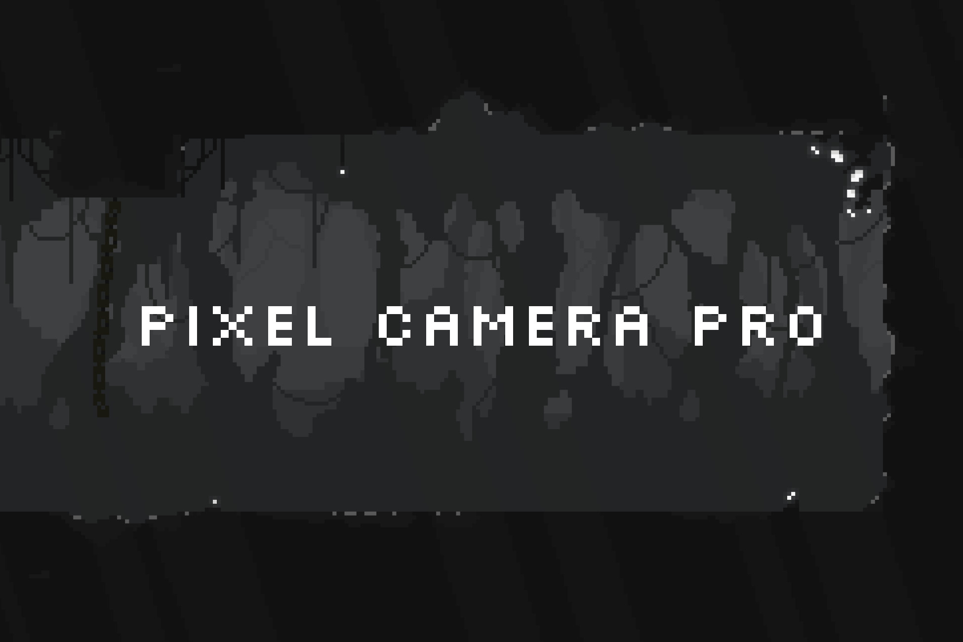 Pixel Camera Pro