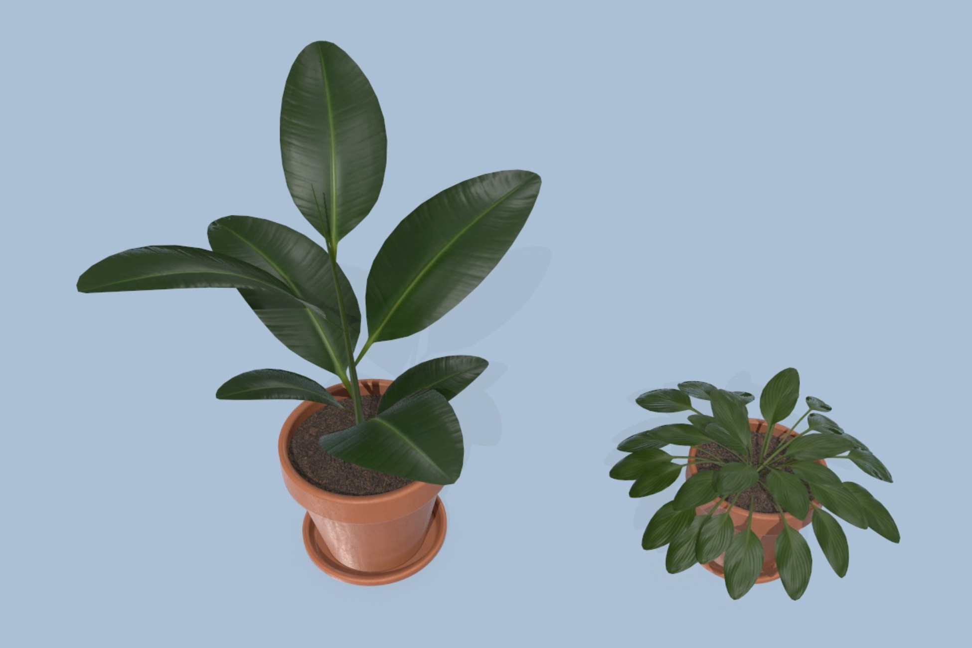 Plants PBR 3D Plants Unity Asset Store