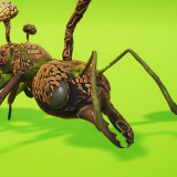 Cordyceps Ant