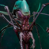 Alien_insect