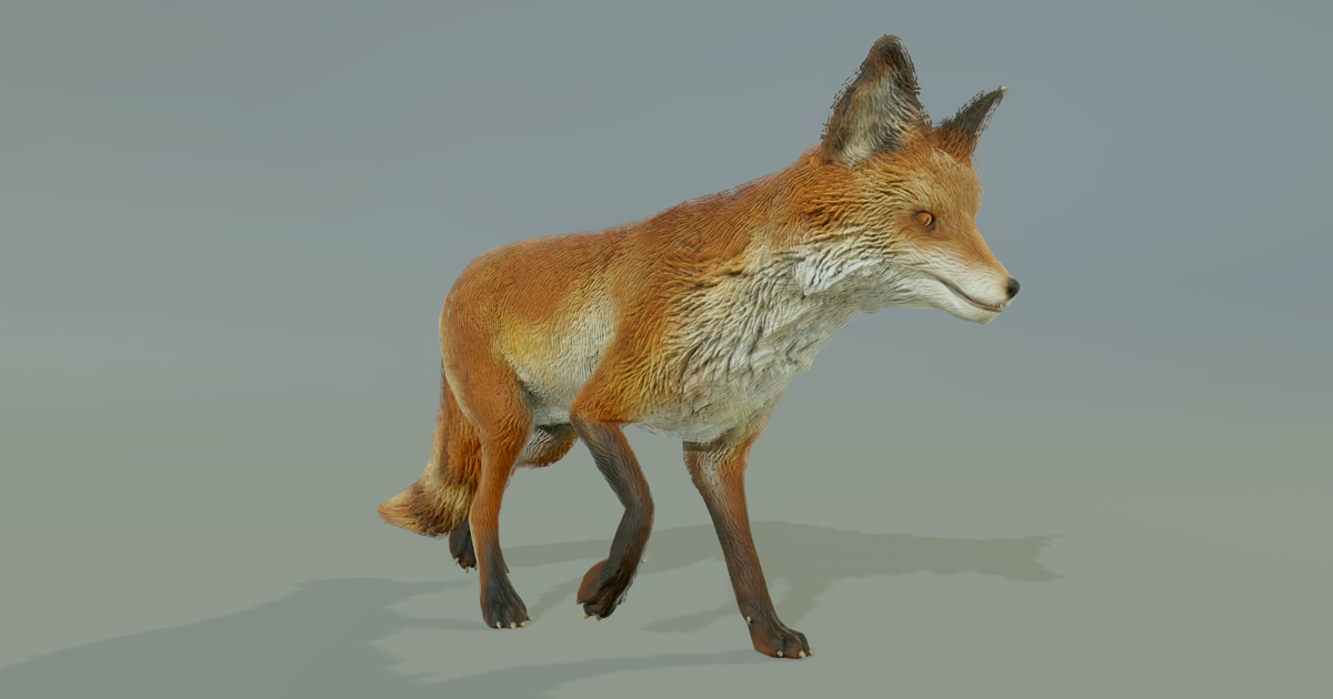 FOX | Characters | Unity Asset Store