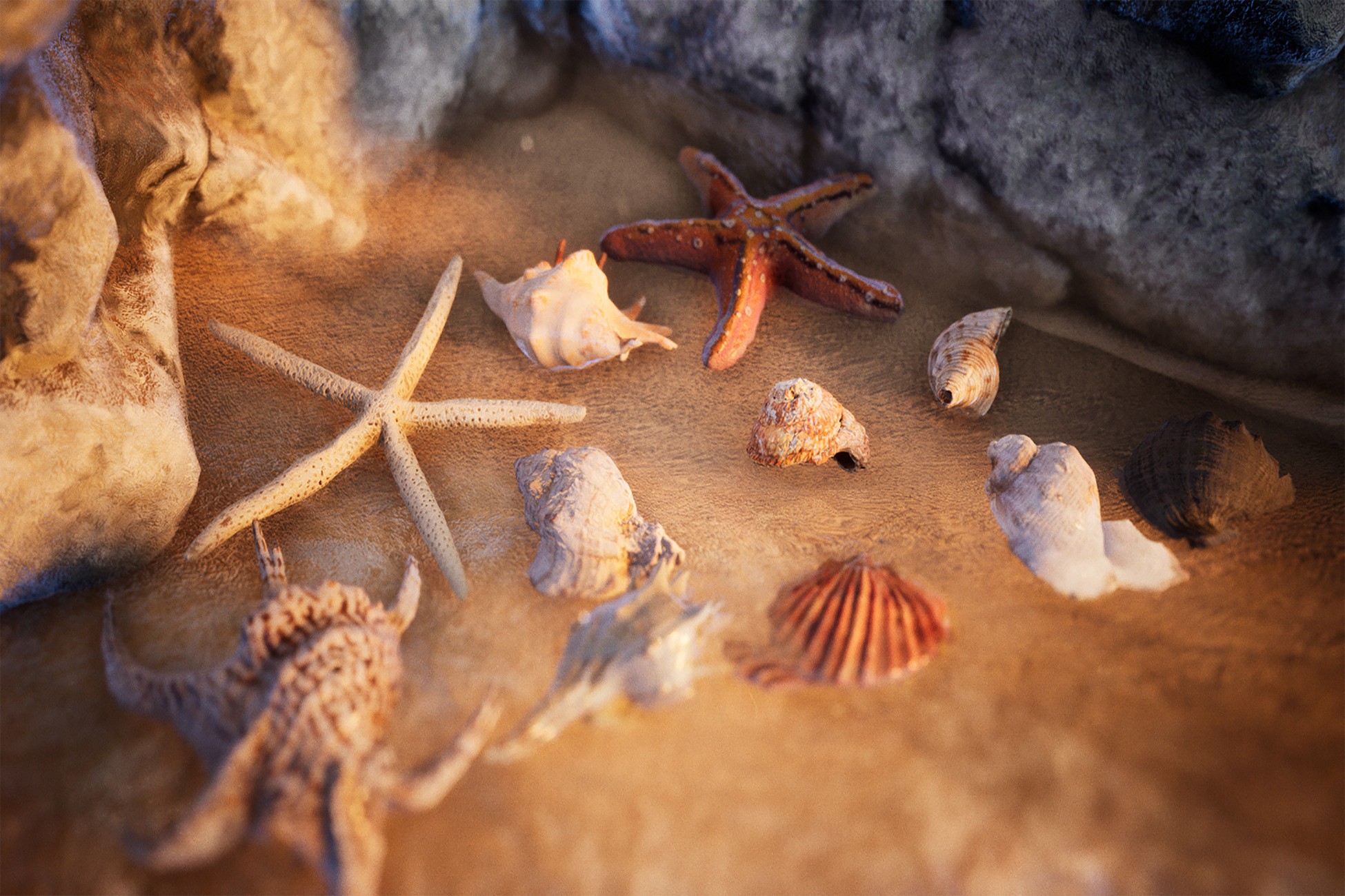 Sea Shells / 24+ Assets | 3D Props | Unity Asset Store