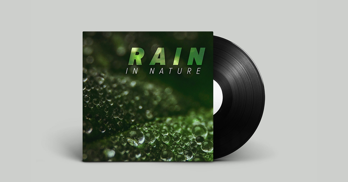 Rain in Nature | Audio Sound FX | Unity Asset Store