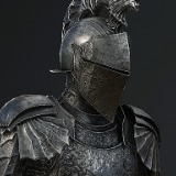 Paladin Commander