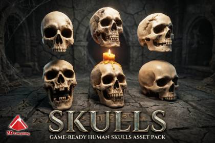 Human Skulls pack