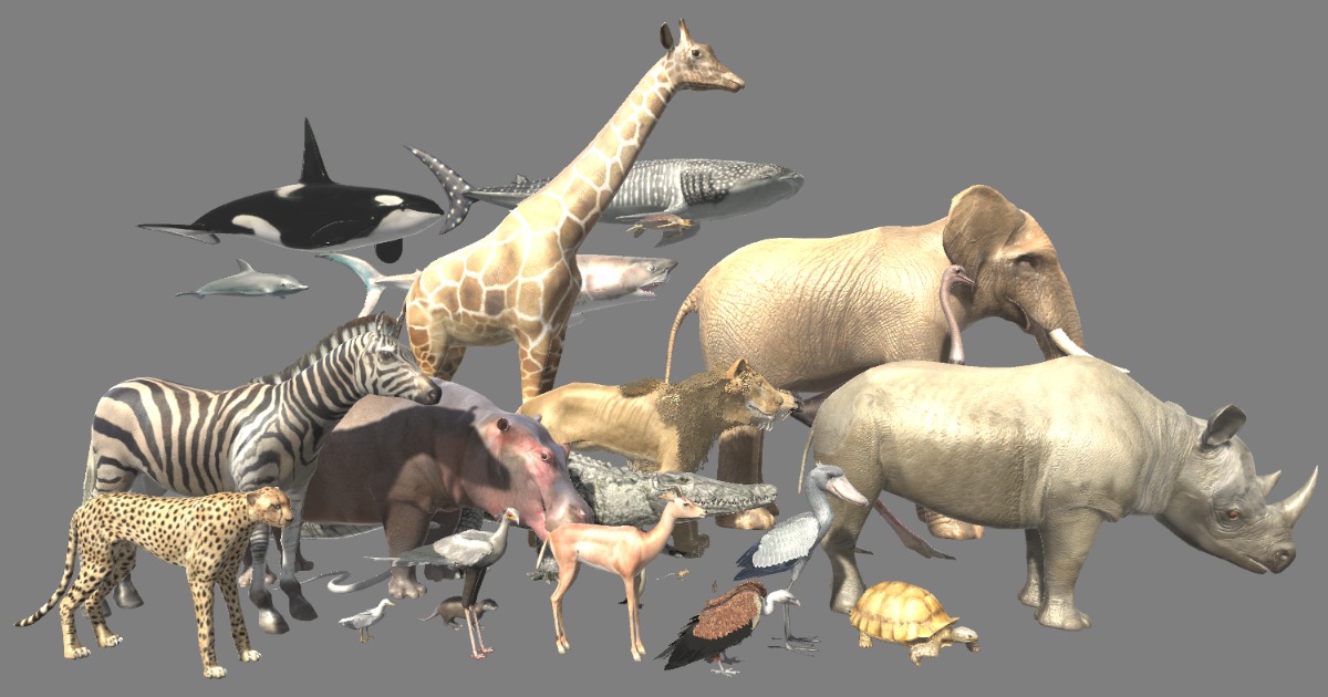 African Animals | 3D Animals | Unity Asset Store