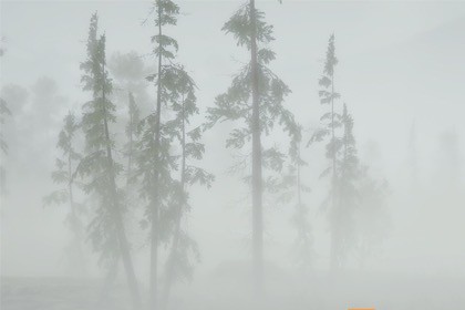 Mist