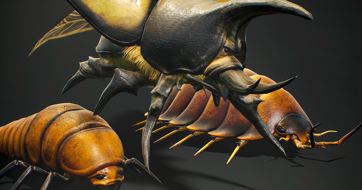 Insects Beetle1 Pack | Characters | Unity Asset Store