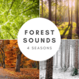Forest Sounds