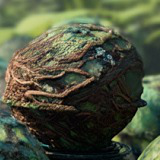 Alien Nature Materials - Vegetal Surface
