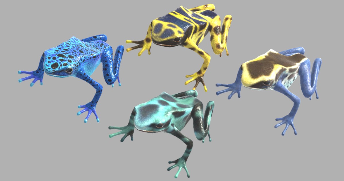 Poison Dart Frogs | 3D Animals | Unity Asset Store