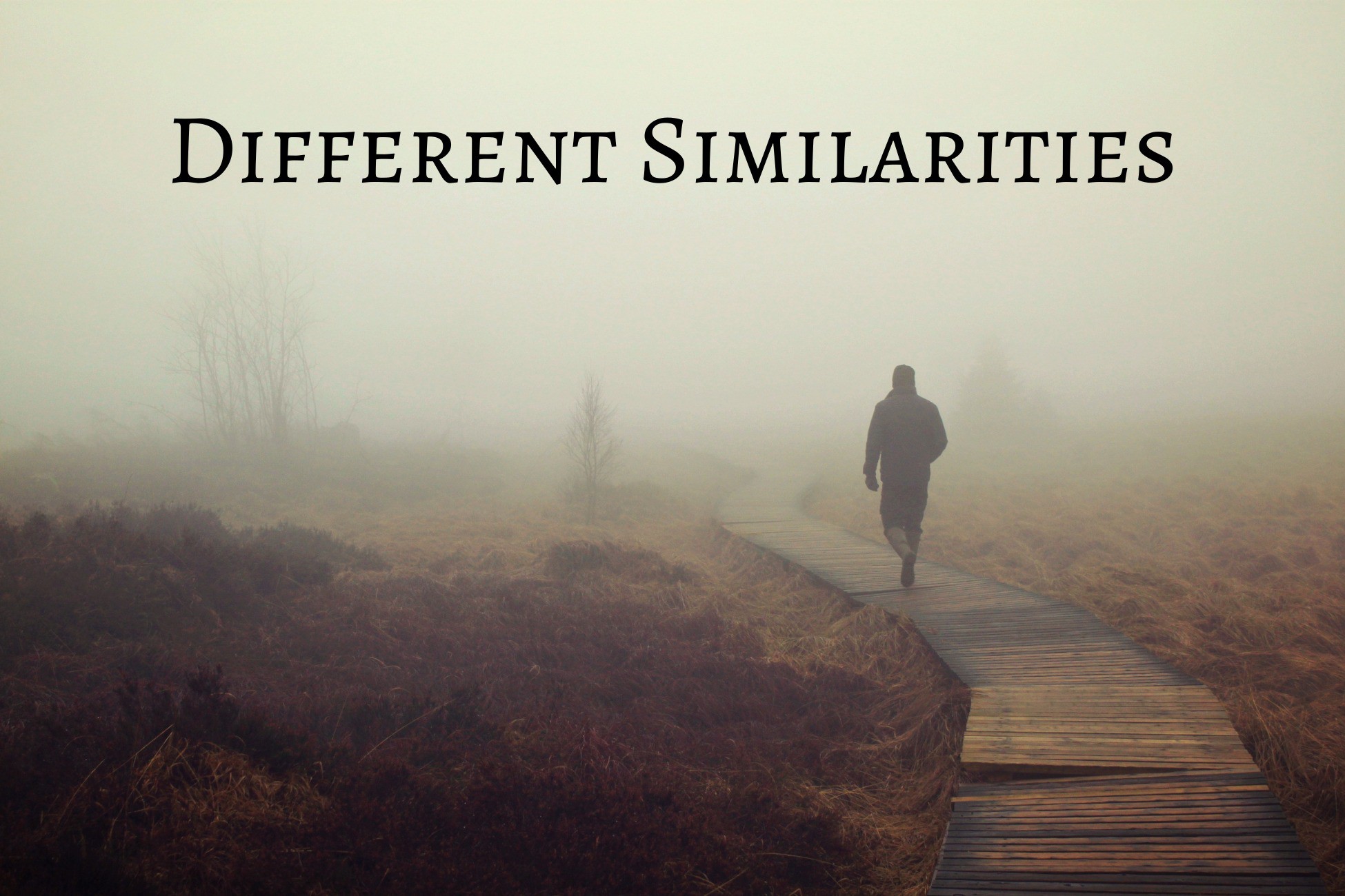 Different Similarities