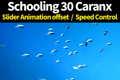 School of 30 Caranx Fish