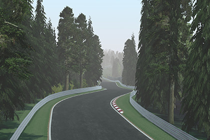 Realistic Race Track Schwarzwald