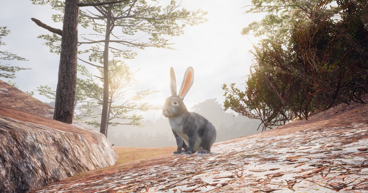 Realistic Rabbits | 3D Animals | Unity Asset Store
