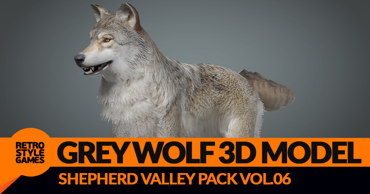 Realistic Grey Wolf 3D Model – Rigged Animated HDRP | Characters ...