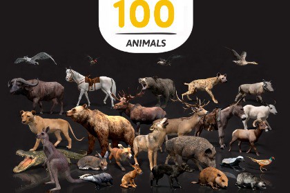 WILDPOLY - Animated Animals – Realistic Pack