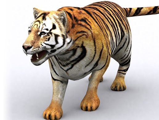 Tiger Unity Animals Safari Tiger | Characters | Unity Asset Store