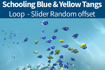 Schooling 30 Coral Fish - Blue & Yellow Tangs