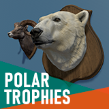 Polar animals – Hunting trophies