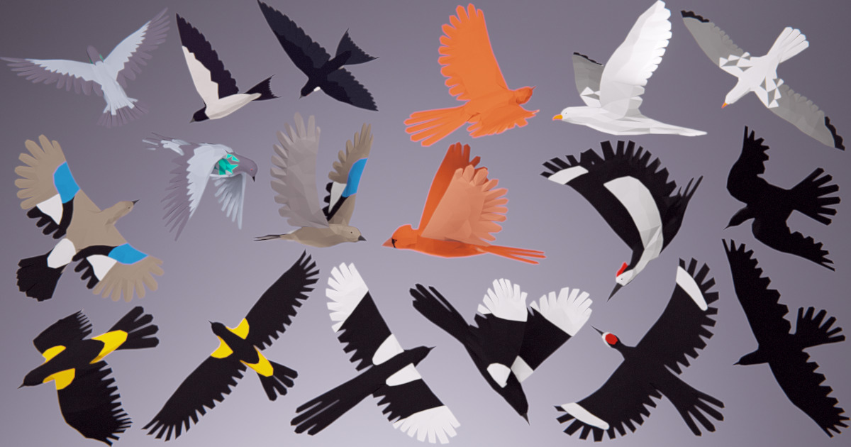 Low Poly Bird: Basic Pack | Characters | Unity Asset Store