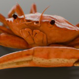 Animated Crab