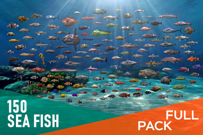 150 Sea fish - Full pack