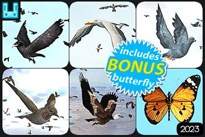 Bird Flock Bundle 2026