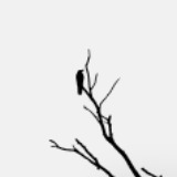 'DREAD' Horror Music Pack