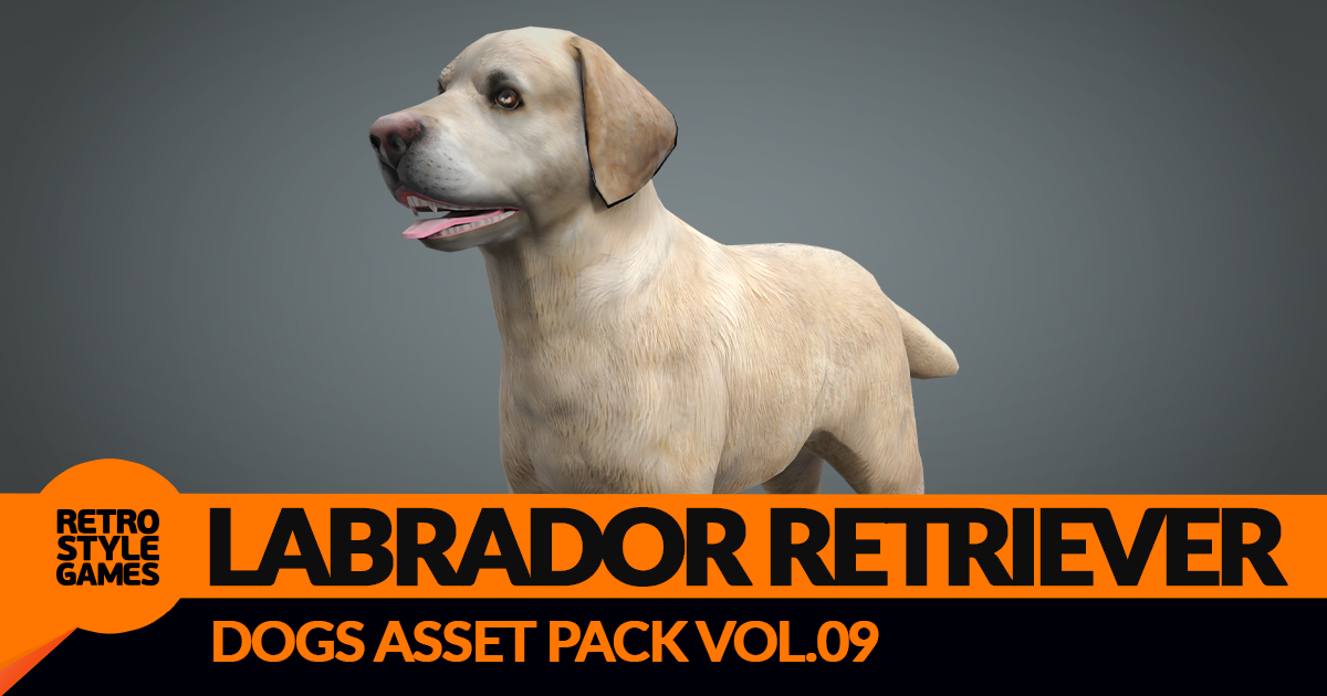 Labrador Retriever 3D Model | 3D Animals | Unity Asset Store