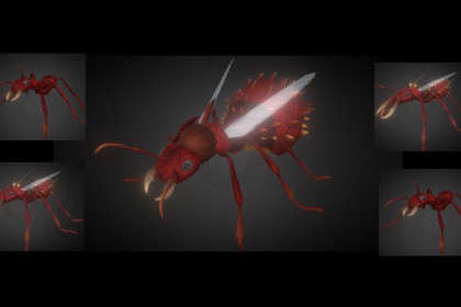 Pack - Ants