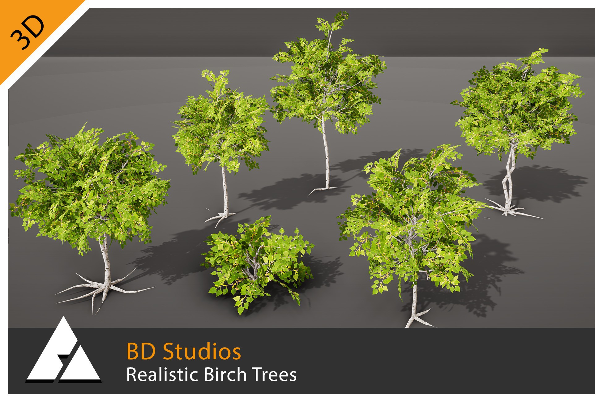 Realistic Birch Trees By BD Studios | 3D Trees | Unity Asset Store