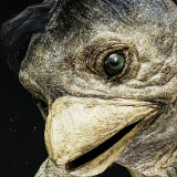 Kappa Creature