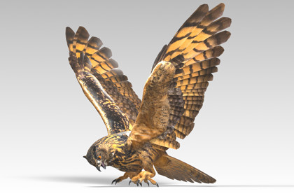 Eagle Owl - Animated Low Poly 3D Model