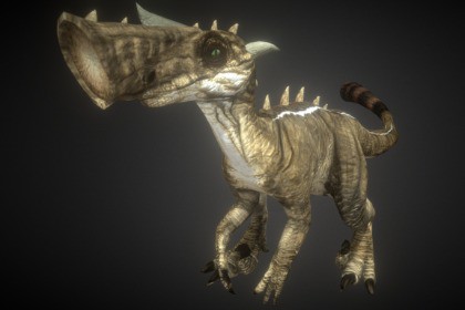 Raptor Ground