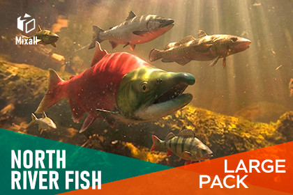 North river fish - large pack