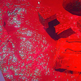 Jelly shader (URP, HDRP)