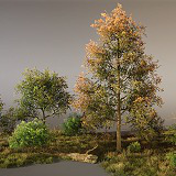 Vegetation Pack - Toby Foliage Engine Assets