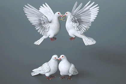 Fully Rigged Wedding Dove