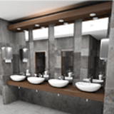 Luxury Public Bathroom