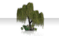 Terrain Assets