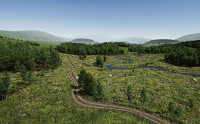 Meadow Environment - Dynamic Nature