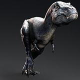 Dinosaur - Sub-Adult TRex