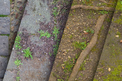 Nature Grounds materials Vol. 6