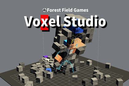 Voxel Studio