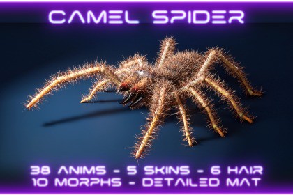 Solifugae Camel Spider, animated and modular monster insect with skins & shader.