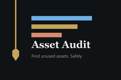 Asset Audit